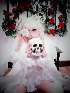 Rating: Safe Score: 0 Tags: 1girl dress flower kirakishou long_hair pink_hair pink_rose red_flower red_rose rose skull solo thorns white_rose User: admin
