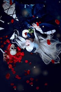 Rating: Safe Score: 0 Tags: 1boy 1girl dress flower long_hair petals rose solo suigintou white_hair User: admin