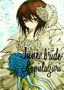 Rating: Safe Score: 0 Tags: 1girl auto_tagged blue_flower blue_rose bouquet brown_hair dress flower gloves green_eyes hair_flower hair_ornament heterochromia image red_eyes rose short_hair solo souseiseki suiseiseki veil wedding_dress User: admin