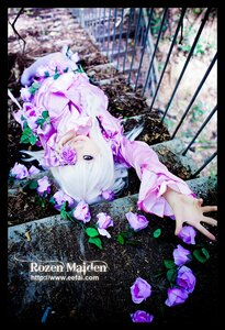 Rating: Safe Score: 0 Tags: 1girl barasuishou black_border dress flower letterboxed long_hair long_sleeves outstretched_arm outstretched_hand purple_flower rose solo white_hair User: admin