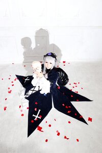 Rating: Safe Score: 0 Tags: 1girl dress flower frills petals silver_hair solo suigintou User: admin