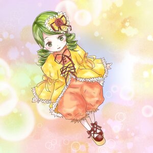 Rating: Safe Score: 0 Tags: 1girl bloomers dress drill_hair flower full_body green_eyes green_hair hair_ornament image kanaria long_sleeves rose smile solo twin_drills underwear User: admin