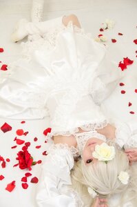 Rating: Safe Score: 0 Tags: 1girl blonde_hair dress flower kirakishou lips lying petals rose rose_petals solo striped vertical_stripes wedding_dress User: admin