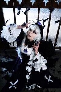 Rating: Safe Score: 0 Tags: 1girl bird dress flower frills hair_ornament long_sleeves short_hair solo suigintou window User: admin