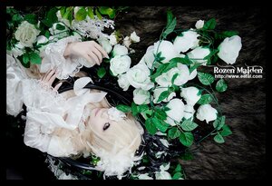 Rating: Safe Score: 0 Tags: 1girl blonde_hair blue_eyes flower kirakishou leaf letterboxed lips plant rose solo white_flower white_rose User: admin