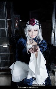 Rating: Safe Score: 0 Tags: 1girl animal cat flower holding_animal long_hair looking_at_viewer red_eyes solo suigintou User: admin
