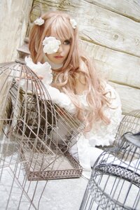 Rating: Safe Score: 0 Tags: 1girl bangs cage dress eyepatch fence flower hair_flower hair_ornament kirakishou lips long_hair pink_hair silk solo User: admin