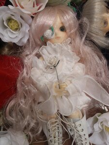 Rating: Safe Score: 0 Tags: 1girl doll dress flower kirakishou lace lips long_hair megurine_luka pink_hair rose solo very_long_hair white_flower white_rose User: admin