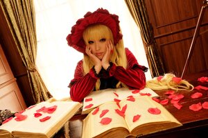 Rating: Safe Score: 0 Tags: 1girl blonde_hair book chin_rest curtains dress long_hair open_book petals rose shinku sitting solo window User: admin