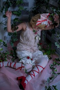 Rating: Safe Score: 0 Tags: 1girl blonde_hair dress flower frills hinaichigo ivy overgrown plant red_ribbon ribbon sitting solo vines white_dress User: admin