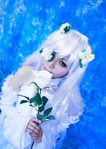 Rating: Safe Score: 0 Tags: 1girl blue_background eyelashes flower green_eyes hair_ornament kirakishou long_hair solo white_flower white_hair white_rose User: admin