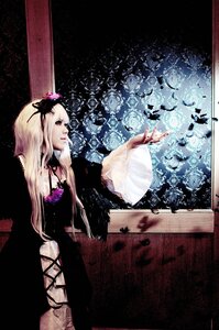Rating: Safe Score: 0 Tags: 1girl blonde_hair bug butterfly dress flower insect long_hair long_sleeves rose solo suigintou User: admin