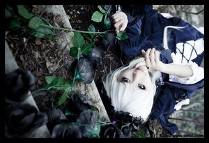 Rating: Safe Score: 0 Tags: 1girl auto_tagged black_border blurry depth_of_field flower izayoi_sakuya letterboxed lips long_sleeves looking_at_viewer pillarboxed short_hair solo suigintou upper_body white_hair windowboxed User: admin