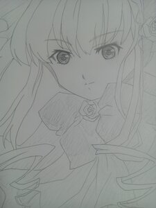 Rating: Safe Score: 0 Tags: 1girl flower frown greyscale image lineart long_hair looking_at_viewer monochrome rose shinku simple_background solo traditional_media upper_body User: admin