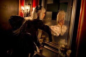 Rating: Safe Score: 0 Tags: 1girl bangs bird black_dress black_wings blonde_hair candle dress feathered_wings feathers indoors long_hair long_sleeves profile solo suigintou very_long_hair wide_sleeves wings User: admin