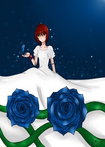 Rating: Safe Score: 0 Tags: 1girl blue_flower blue_rose butterfly dress flower heterochromia image insect puffy_sleeves red_eyes red_flower red_hair red_rose rose short_hair solo souseiseki white_dress User: admin