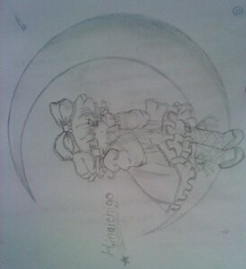 Rating: Safe Score: 0 Tags: 1girl animal_ears full_body hat hinaichigo image monochrome photo short_hair sketch skirt solo tail traditional_media wolf_ears User: admin