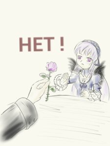 Rating: Safe Score: 0 Tags: 1girl dress flower frilled_sleeves frills holding image long_sleeves purple_eyes rose simple_background solo suigintou wings User: admin