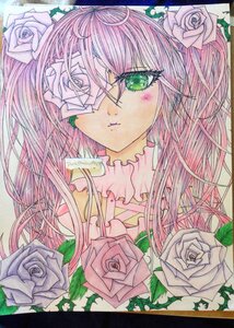 Rating: Safe Score: 0 Tags: 1girl auto_tagged black_flower black_rose blue_rose eyepatch flower green_eyes green_flower hair_flower hair_ornament image kirakishou long_hair marker_(medium) orange_flower pink_flower pink_hair pink_rose purple_flower purple_rose red_flower red_rose rose rose_petals solo thorns traditional_media vines watercolor_(medium) white_flower white_rose yellow_flower yellow_rose User: admin
