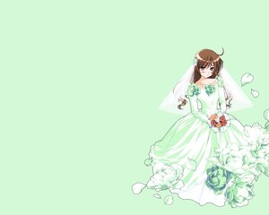 Rating: Safe Score: 0 Tags: 1girl ahoge artist_request bare_shoulders bouquet bride brown_hair dress flower gloves green_background heterochromia image long_hair long_sleeves petals photoshop_(medium) rose rozen_maiden solo strapless strapless_dress suiseiseki veil wedding_dress white_flower User: admin