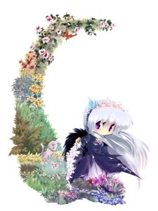 Rating: Safe Score: 0 Tags: 1girl bird dress flower frills full_body image long_hair long_sleeves purple_eyes purple_flower solo suigintou very_long_hair white_background User: admin