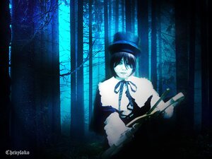 Rating: Safe Score: 0 Tags: 1girl black_hair black_ribbon blue_theme capelet dark image ribbon short_hair sitting solo souseiseki User: admin