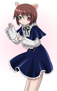 Rating: Safe Score: 3 Tags: 1girl animal_ears blush brown_hair cat_ears frills gradient gradient_background green_eyes heterochromia image long_sleeves looking_at_viewer pantyhose red_eyes ribbon rozen_maiden short_hair skirt smile solo souseiseki striped takumi_(rozen_garten) User: admin
