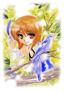 Rating: Safe Score: 0 Tags: 1girl bird brown_hair dress frills green_dress green_eyes heterochromia image long_sleeves looking_at_viewer outdoors red_eyes smile solo souseiseki suiseiseki tree wings User: admin