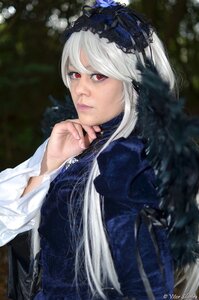 Rating: Safe Score: 0 Tags: 1girl artist_name blurry blurry_background closed_mouth depth_of_field flower hairband lips looking_at_viewer red_eyes shirt solo suigintou watermark white_hair User: admin