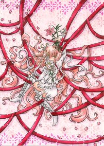 Rating: Safe Score: 0 Tags: 1girl cherry_blossoms dress flower frills image kirakishou long_hair petals pink_hair plant ribbon solo tentacles thighhighs thorns very_long_hair vines white_dress yellow_eyes User: admin