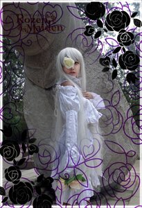 Rating: Safe Score: 0 Tags: 1girl dress eyepatch flower heart kirakishou long_hair rose solo thorns vines white_hair User: admin
