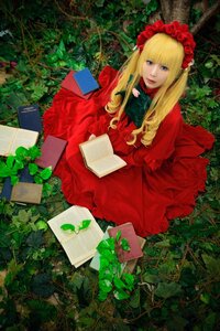 Rating: Safe Score: 0 Tags: 1girl blonde_hair blue_eyes book dress flower lips long_hair open_book plant red_dress rose shinku sitting solo User: admin