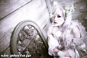 Rating: Safe Score: 0 Tags: 1girl animal_ears artist_name bare_shoulders cat_ears cup flower hair_flower hair_ornament indoors kirakishou lips long_hair solo watermark web_address User: admin