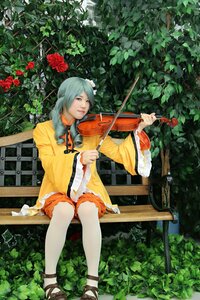 Rating: Safe Score: 0 Tags: 1girl bow_(instrument) braid flower hair_over_shoulder instrument kanaria leaf plant playing_instrument red_flower rose sandals sitting solo violin User: admin