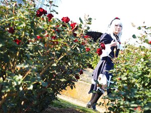 Rating: Safe Score: 0 Tags: 1girl boots braid flower long_hair solo standing suigintou white_hair User: admin