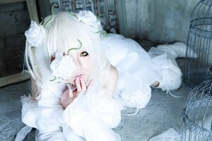 Rating: Safe Score: 0 Tags: 1girl bangs bare_shoulders birdcage blurry cage depth_of_field dress flower indoors kirakishou one_eye_covered sitting solo white_dress white_flower white_hair white_rose User: admin