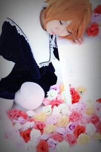 Rating: Safe Score: 0 Tags: 1girl black_flower black_rose blonde_hair blue_rose closed_eyes flower orange_flower petals pink_flower pink_rose purple_rose red_flower red_rose rose rose_petals short_hair sleeping solo souseiseki thorns white_flower white_rose yellow_flower yellow_rose User: admin