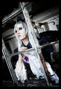 Rating: Safe Score: 0 Tags: 1girl black_border blurry dress flower frills letterboxed lolita_fashion long_hair rose solo suigintou white_hair User: admin