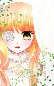 Rating: Safe Score: 0 Tags: 1girl bangs dress flower image kirakishou long_hair looking_at_viewer orange_hair rose smile solo white_flower white_rose User: admin