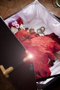 Rating: Safe Score: 0 Tags: 1girl auto_tagged dress flower gloves jewelry pink_rose rose shinku solo User: admin