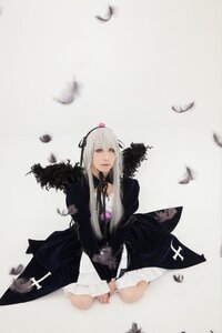 Rating: Safe Score: 0 Tags: 1girl bird black_feathers black_ribbon crow dove dress feathers flower lips long_hair long_sleeves looking_at_viewer ribbon silver_hair solo suigintou User: admin