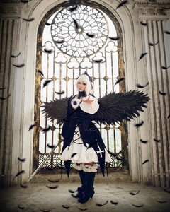 Rating: Safe Score: 0 Tags: bird black_feathers crow feathers indoors solo standing suigintou sword weapon white_hair window wings User: admin