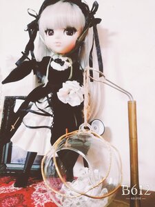 Rating: Safe Score: 0 Tags: 1girl bangs black_ribbon doll dress flower long_hair long_sleeves looking_at_viewer photo ribbon rose solo suigintou very_long_hair white_hair User: admin