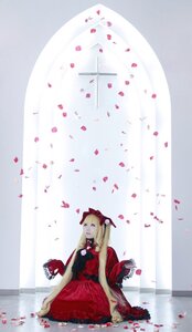 Rating: Safe Score: 0 Tags: 1girl apple blonde_hair blue_eyes bow bug butterfly cage curtains dress flower insect long_hair petals red_dress rose rose_petals shinku sitting solo striped User: admin