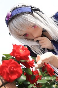 Rating: Safe Score: 0 Tags: 1girl bangs blurry covering_mouth depth_of_field flower hairband long_hair long_sleeves looking_at_viewer red_eyes red_flower red_rose ribbon rose solo suigintou white_background User: admin