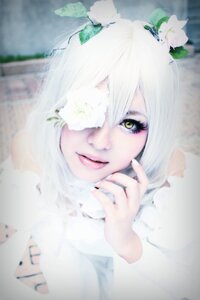 Rating: Safe Score: 0 Tags: 1girl blurry blurry_background blurry_foreground depth_of_field flower green_eyes kirakishou lips looking_at_viewer photo solo white_flower white_hair User: admin
