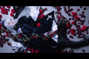 Rating: Safe Score: 0 Tags: 1girl black_border black_legwear closed_eyes dress flower gothic_lolita hat letterboxed lolita_fashion long_hair red_flower red_rose rose solo suigintou thorns white_hair User: admin