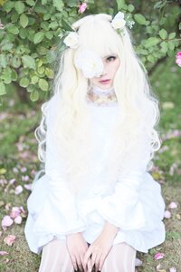 Rating: Safe Score: 0 Tags: 1girl bangs blurry depth_of_field dress flower hair_flower hair_ornament kirakishou lips long_hair looking_at_viewer outdoors solo striped vertical-striped_dress vertical_stripes white_hair User: admin