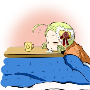 Rating: Safe Score: 0 Tags: 1girl ahoge blonde_hair blush closed_eyes commentary_request cup drill_hair drooling flower green_hair hair_ornament image kanaria kotatsu mandarin_orange mug rose rozen_maiden saliva shiro-inu sleeping solo table twin_drills twintails User: admin