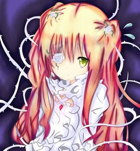 Rating: Safe Score: 0 Tags: 1girl auto_tagged flower frills green_eyes hair_ornament image kirakishou long_hair pink_hair rose solo thorns User: admin